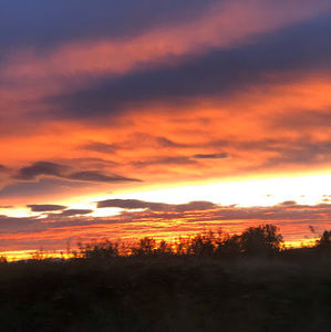 Meet your Posher, Andrada